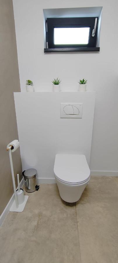 Casira Guesthouse Sînmartin Zewnętrze zdjęcie
